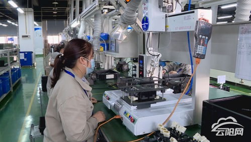 覃昌德率隊赴拉薩、成都考察 深化文旅融合，推動招商引資與電子產品研發銷售新突破